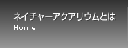 ネイチャーアクアリウムとは Home